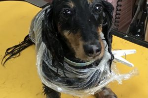 6月のお友達☆