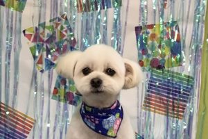 ６月のお友達☆