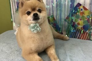 ６月のお友達☆