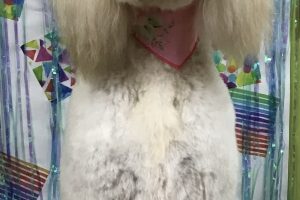 6月のお友達☆