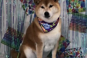 6月のお友達☆