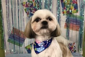 6月のお友達☆