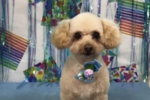 ６月のお友達☆