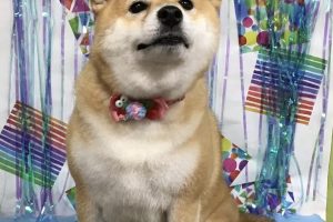 6月のお友達☆