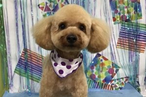 6月のお友達☆