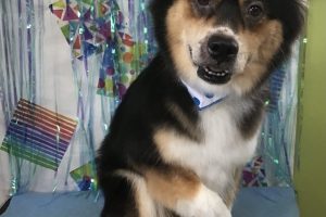 ６月のお友達☆
