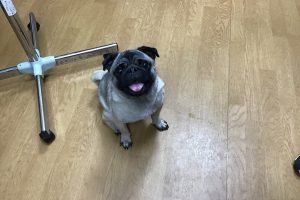 お泊り☆