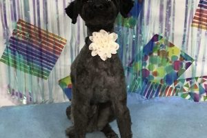 ６月のお友達☆