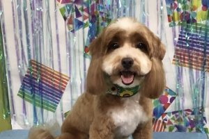 ６月のお友達☆
