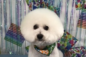 6月のお友達☆
