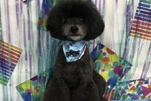 6月のお友達☆