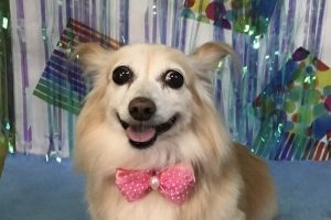 6月のお友達☆