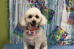 6月のお友達☆