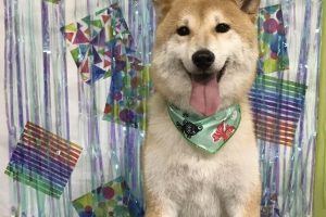 ６月のお友達☆
