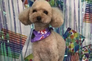 6月のお友達☆