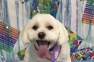 6月のお友達☆