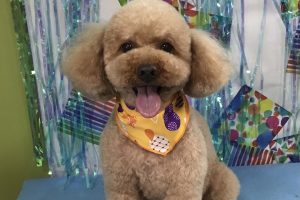 ６月のお友達☆