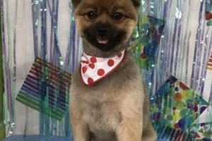 6月のお友達☆