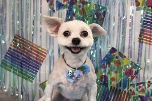 ６月のお友達☆