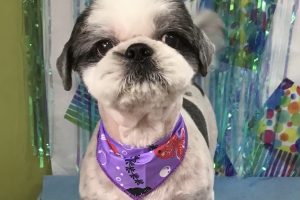 6月のお友達☆