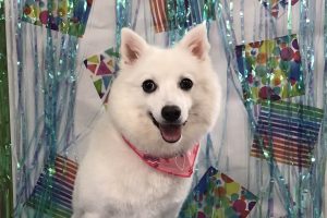 ６月のお友達☆