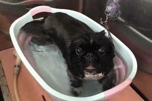 6月のお友達☆