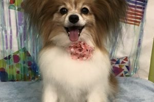 ６月のお友達☆