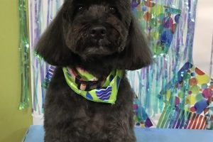 ６月のお友達☆