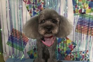 6月のお友達☆