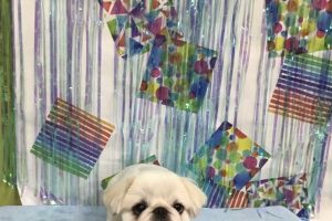 ６月のお友達☆