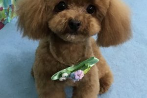 6月のお友達☆