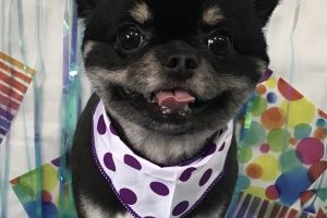 6月のお友達☆