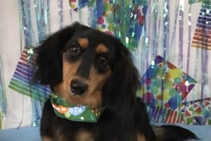 6月のお友達☆