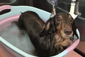 6月のお友達☆