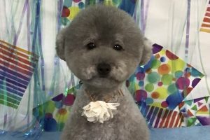 6月のお友達☆