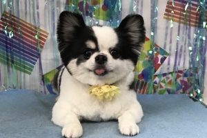 6月のお友達☆