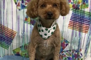 ６月のお友達☆
