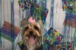 6月のお友達☆