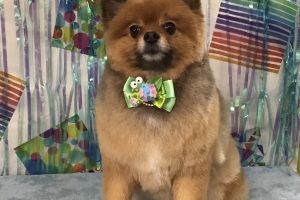 6月のお友達☆