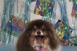 6月のお友達☆