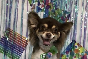 6月のお友達☆