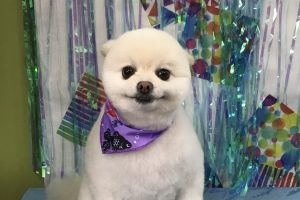 6月のお友達☆
