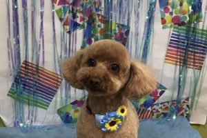 ６月のお友達☆