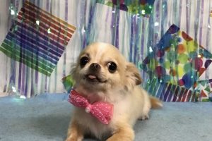 6月のお友達☆