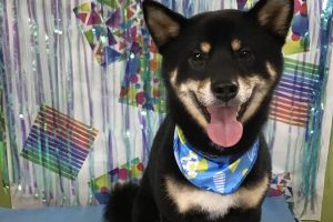 ６月のお友達☆