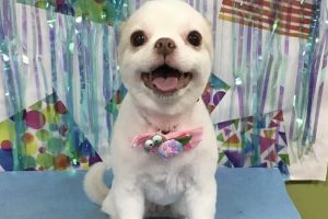 ６月のお友達☆
