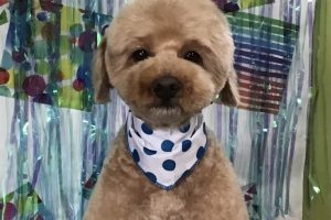 6月のお友達☆