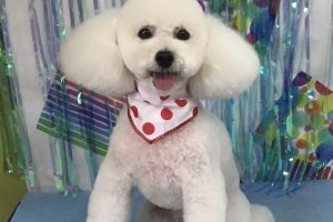 6月のお友達☆