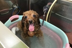 6月のお友達☆