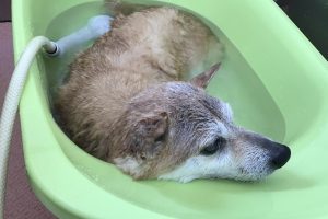 6月のお友達☆